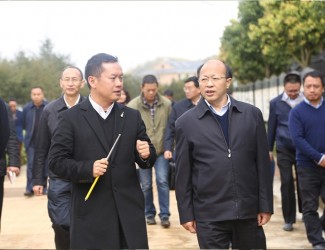 云南省委常委、副書記李秀領一行到苗鄉(xiāng)三七科技示范園考察調研