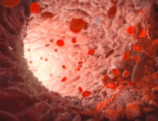 為什么三七被稱為“血管清道夫”？