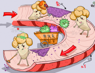 血瘀體質(zhì)的表現(xiàn)與癥狀，如何用三七活血化瘀