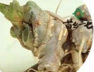 買三七注意事項，帶剪口和不帶剪口的巨大區(qū)別