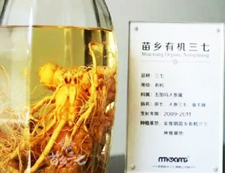 簡(jiǎn)簡(jiǎn)單單威力卻不小——三七藥酒