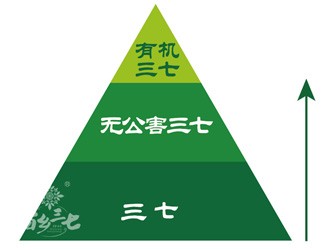 三七有幾個等級？分級依據(jù)是什么？