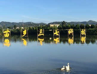 首個國家三七新品種誕生記——第4季