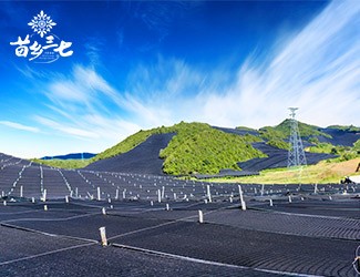 慢性咽炎怎么辦，秋季養(yǎng)生有妙招