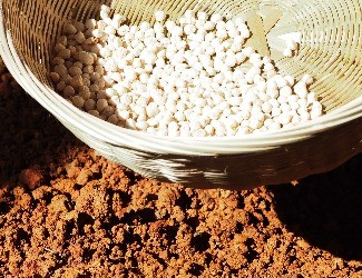 三七的一生——建棚、播種（二）