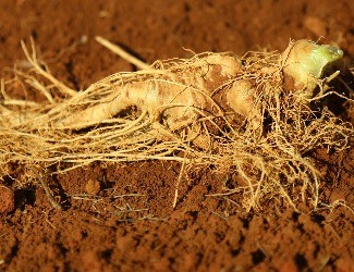 趣味問答識(shí)三七（上篇）