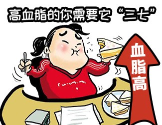 高血脂頭昏天旋地轉(zhuǎn)，三七還我一片天清氣朗