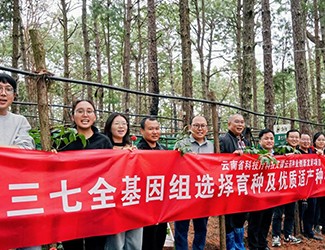 無數(shù)次從零到一，無數(shù)人前赴后繼守護三七“種業(yè)芯片”