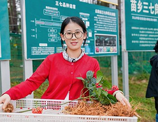 苗鄉(xiāng)三七良種喜獲豐收?。?！