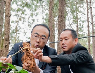 三七良種喜獲豐收，實現(xiàn)產(chǎn)量含量雙突破！